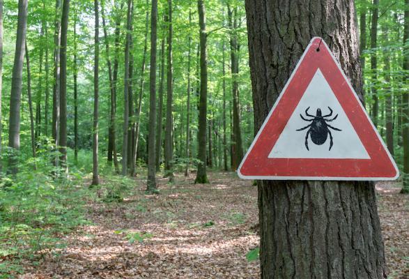 Warning sign for ticks in woods
